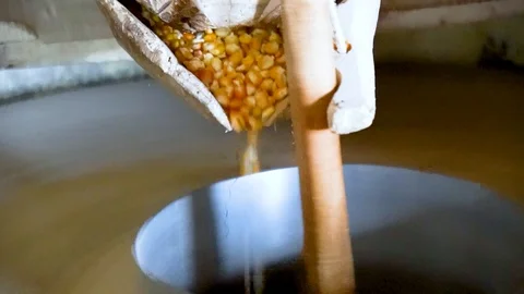 Corn grains poured into the machine Video stock 106020427