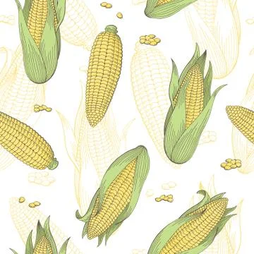 Corn graphic color seamless pattern sketch illustration vector Stock Illustration