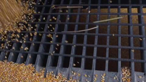 Corn grate at Co-op/Grain Bins Vídeos de archivo 277546885