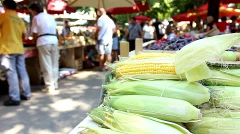 Corn on greenmarket Stock Footage 12205026