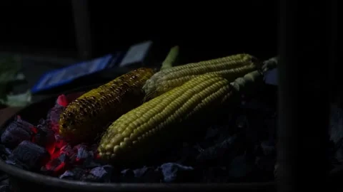 Corn grilled on the coals in the dark, close-up. Stockbeeldmateriaal 227700543