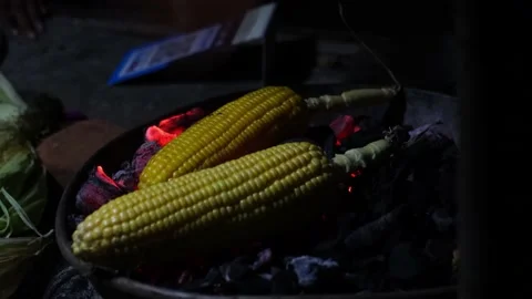 Corn grilled on the coals in the dark, close-up. Stock-Footage 228013265
