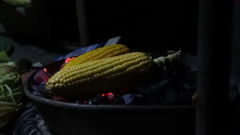 Corn grilled on the coals in the dark, close-up. Stock Footage 229629492