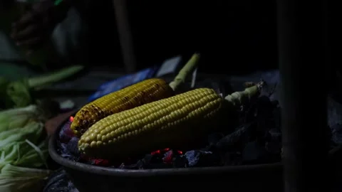 Corn grilled on the coals in the dark, close-up. Stockbeeldmateriaal 238910230