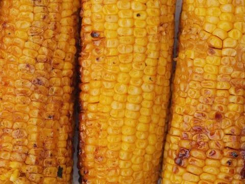 Corn grilled Stock Photos