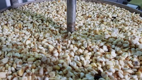 Corn grinding process with metal machine spindle in industrial setting Stock Footage 278532231