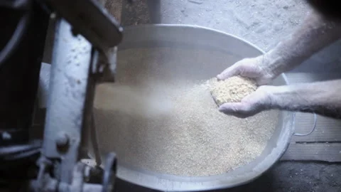 Corn Grinding - Sifting Stock Footage 135743560