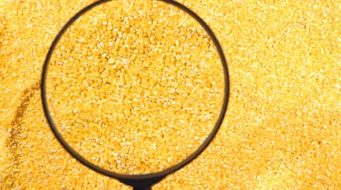 A corn grits under the magnifying glass Stock Footage 59529088