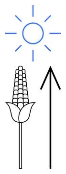 Corn growth represented with sun and upward arrow indicating positive devel.. Ilustración de archivo