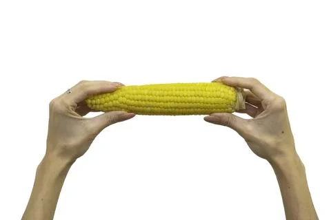 Corn in hand path isolated on white Foto stock