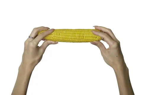 Corn in hand path isolated on white Foto stock