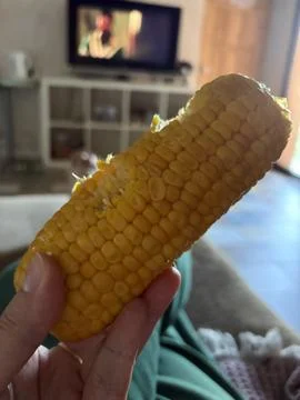 Corn in hand Stock Photos