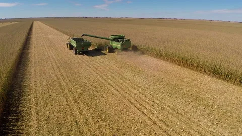 Corn Harvest 01 Stock Footage 158170568