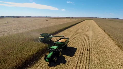 Corn Harvest 02 Stock Footage 158170573