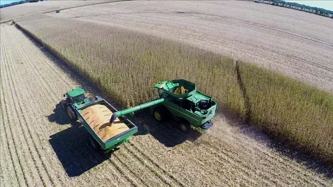 Corn Harvest 03 Stock Footage 158170206