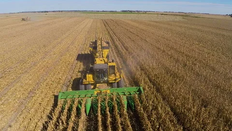 Corn Harvest 05 Stock Footage 158170213