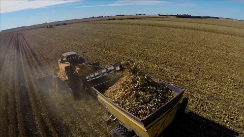 Corn Harvest 06 Stock Footage 158170694