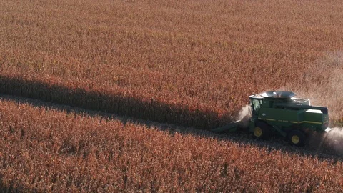 Corn Harvest 800 high Stock Footage 98721908
