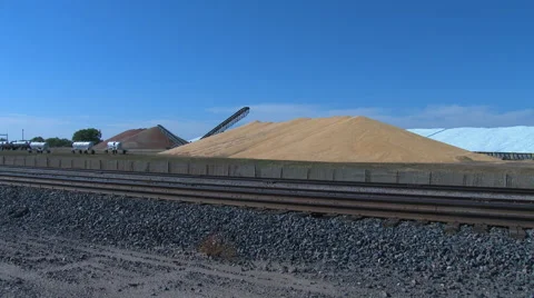 Corn harvest bonanza with mound of corn three stories high, 4K. Stock Footage 68827140