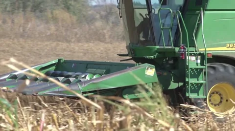 Corn Harvest Combine Stock Footage 36576797