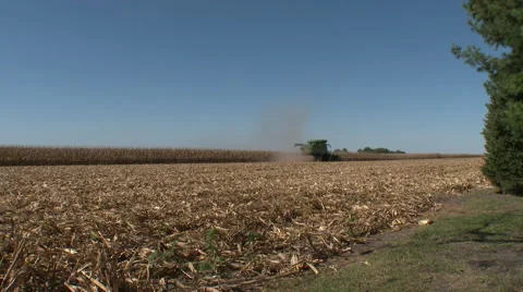 Corn harvest combine as tractor drawn trailer approaches, 4K. Stock Footage 68824916