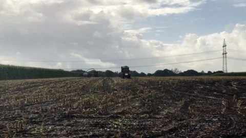 Corn harvest, corn forage harvester in action, harvest truck with tractor Video stock 91865031