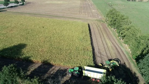 Corn harvest, corn forage harvester in action, harvest truck with tractor Video stock 94675997