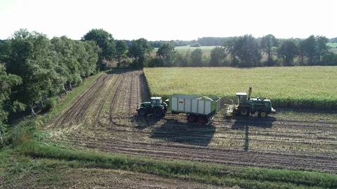 Corn harvest, corn forage harvester in action, harvest truck with tractor Video stock 94679814