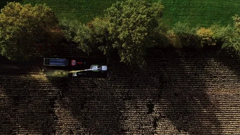 Corn harvest, corn forage harvester in action, harvest truck with tractor Video stock 118921413