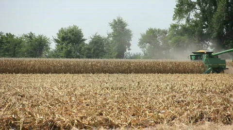 Corn Harvest Stock Footage 826464
