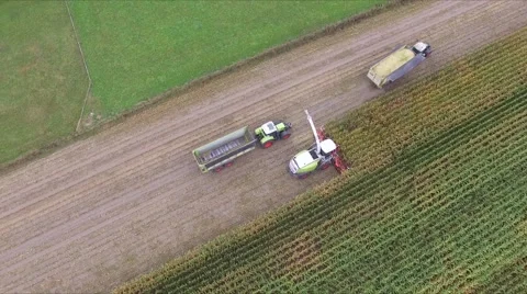 Corn Harvest 動画素材 68169564