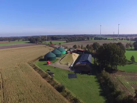 Corn Harvest 動画素材 81103285