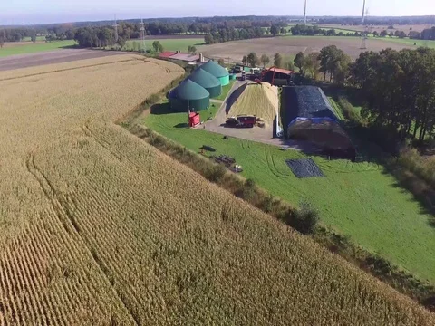 Corn Harvest 動画素材 81104553