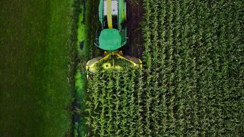 Corn Harvest Video stock 291748357