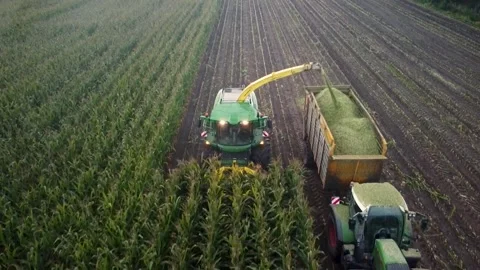 Corn Harvest Video stock 292934880