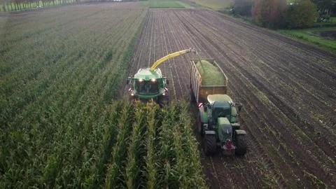 Corn Harvest Video stock 292934908