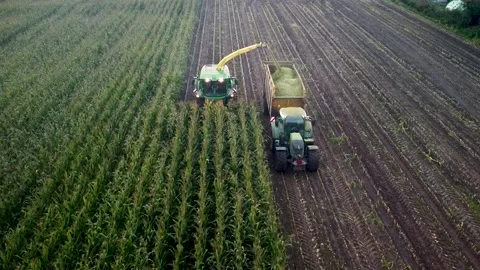 Corn Harvest Video stock 292934937