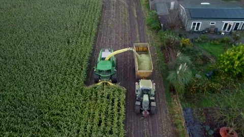 Corn Harvest Video stock 292934946