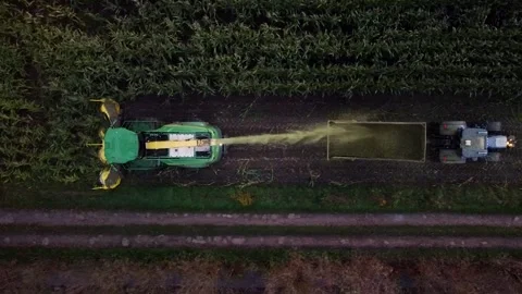 Corn Harvest Video stock 292935076