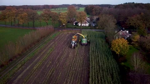 Corn Harvest Video stock 292935077