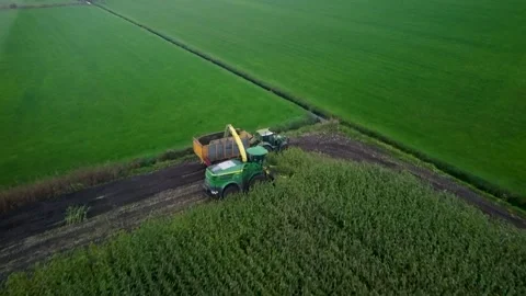 Corn Harvest Video stock 292935079
