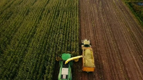 Corn Harvest Video stock 292935150