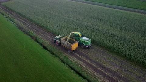 Corn Harvest Video stock 292935156
