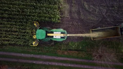 Corn Harvest Video stock 292935207