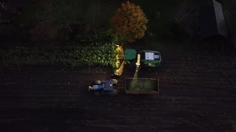 Corn Harvest Video stock 292935536