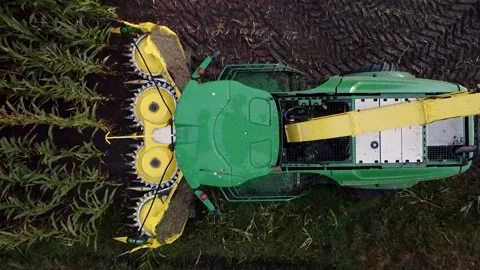 Corn Harvest Video stock 292935575