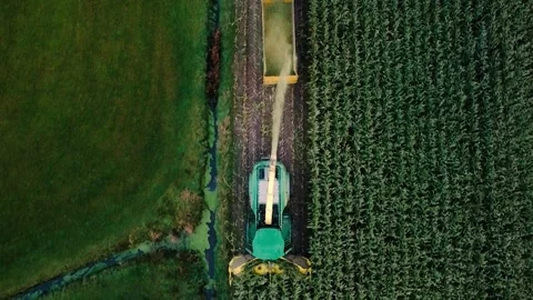 Corn Harvest Video stock 292935679