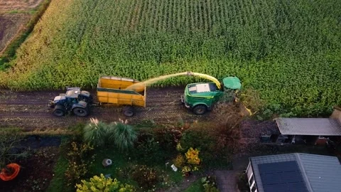 Corn Harvest Video stock 292935707