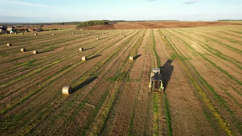 Corn Harvest. Forage harvester on maize cutting in field. Vídeos de archivo 206412429