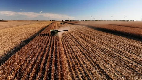 Corn Harvest Front 1 Stock Footage 98722292